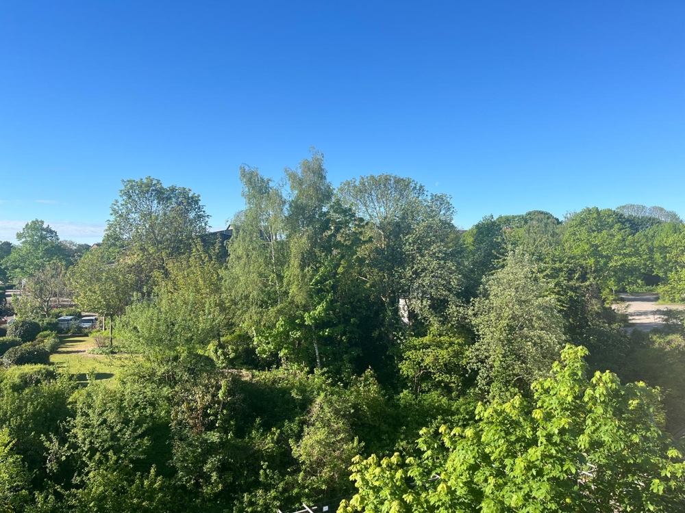 Leben in der Innenstadt - Ausblick