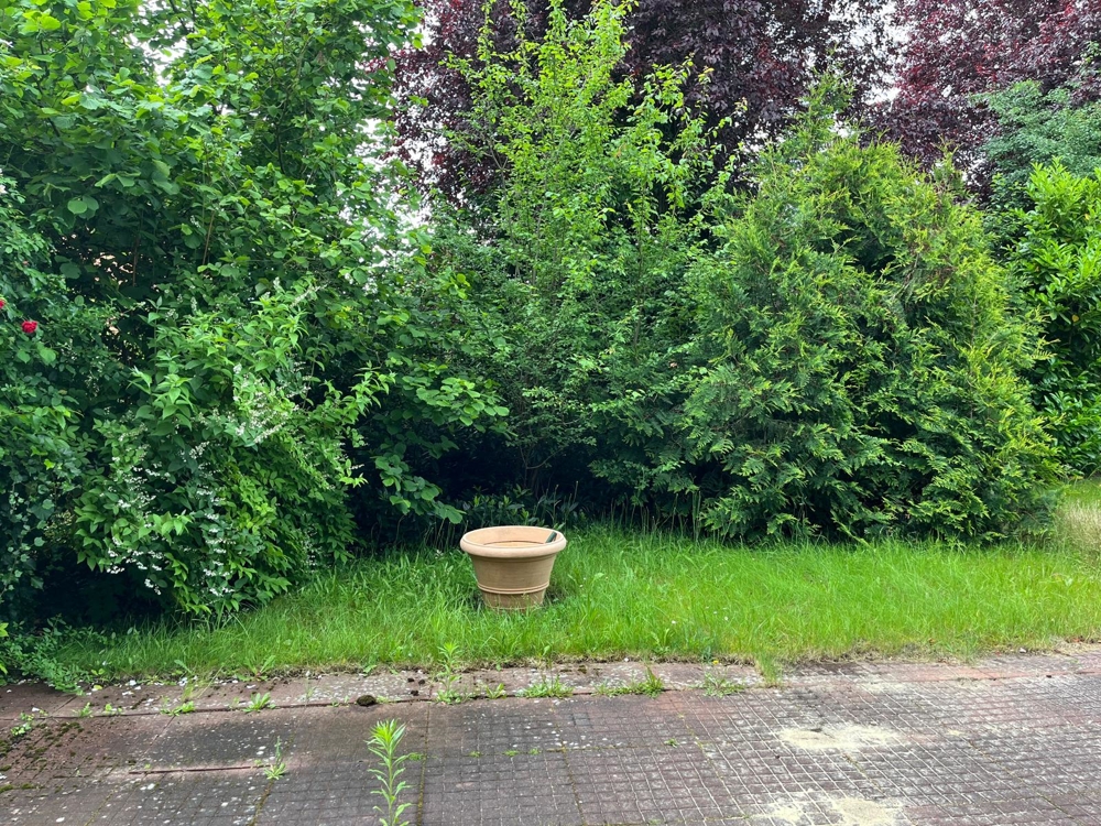 Große Sonnen-Terrasse - Garten