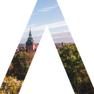 Sallier Immobilien Logo A Skyline Lüneburg Michaeliskirche